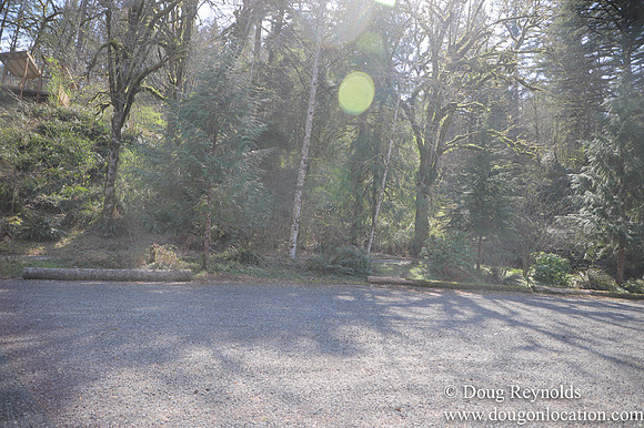Eagle Fern Camp