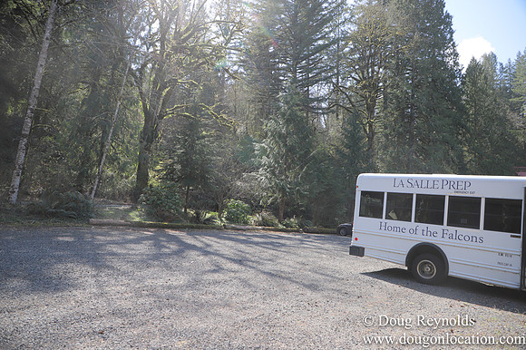 Eagle Fern Camp