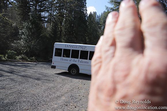 Eagle Fern Camp