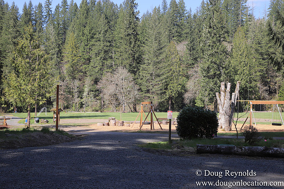 Eagle Fern Camp