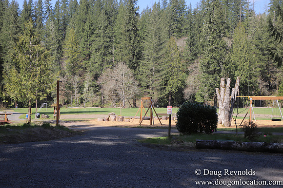 Eagle Fern Camp