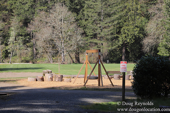 Eagle Fern Camp