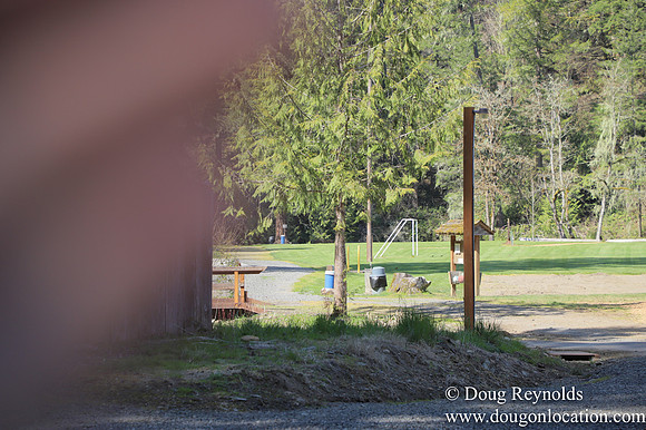 Eagle Fern Camp