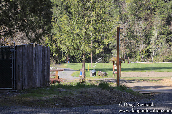Eagle Fern Camp