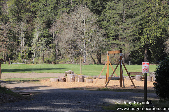 Eagle Fern Camp