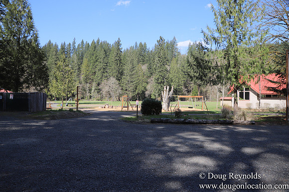 Eagle Fern Camp