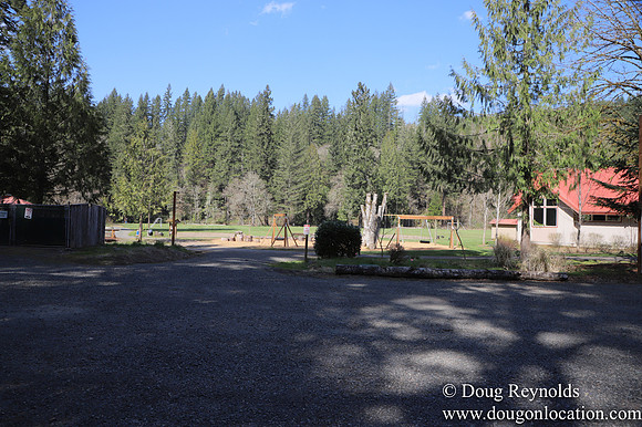 Eagle Fern Camp