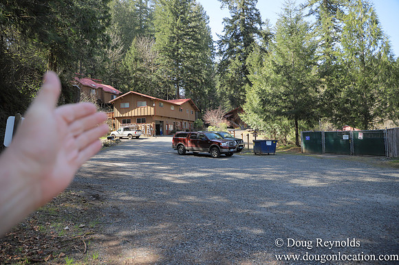 Eagle Fern Camp