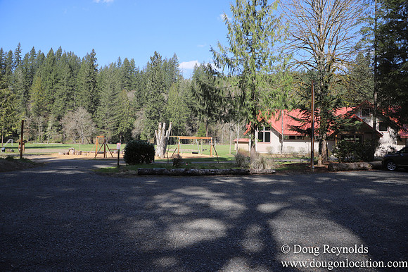 Eagle Fern Camp