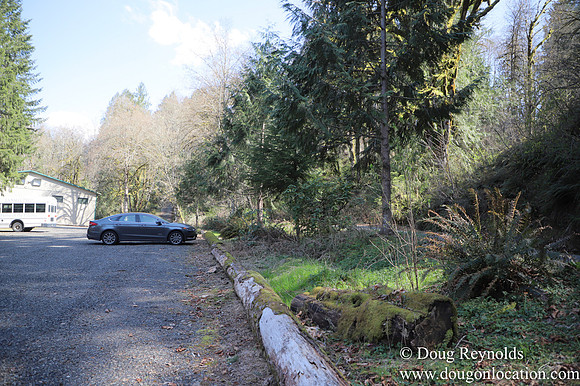 Eagle Fern Camp