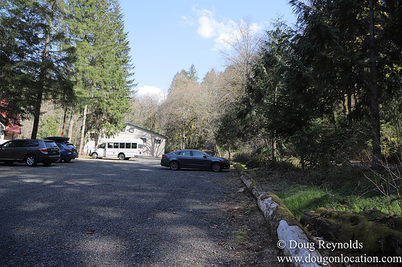 Eagle Fern Camp