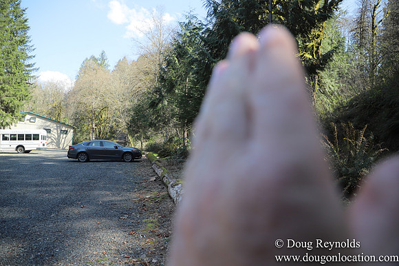 Eagle Fern Camp