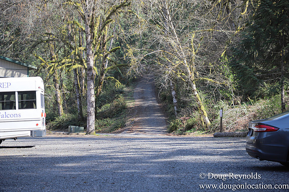Eagle Fern Camp
