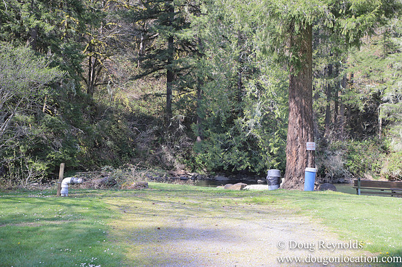 Eagle Fern Camp
