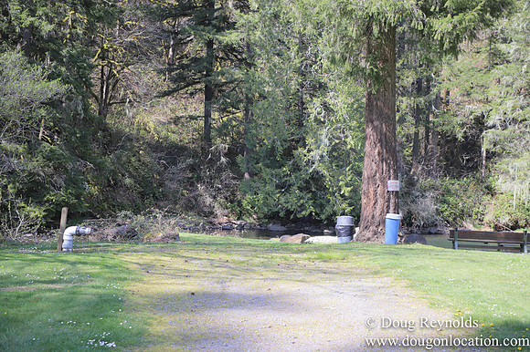 Eagle Fern Camp