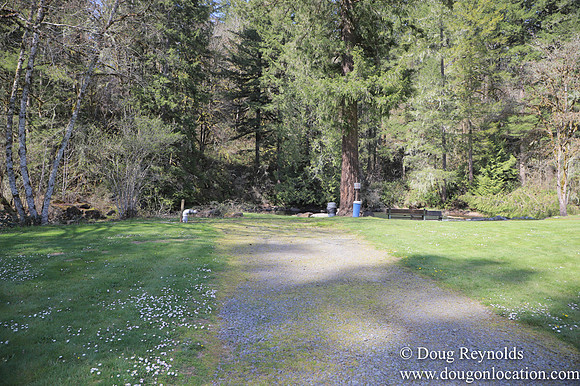 Eagle Fern Camp