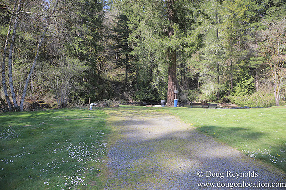 Eagle Fern Camp