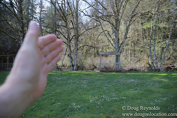 Eagle Fern Camp