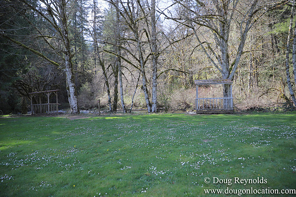 Eagle Fern Camp
