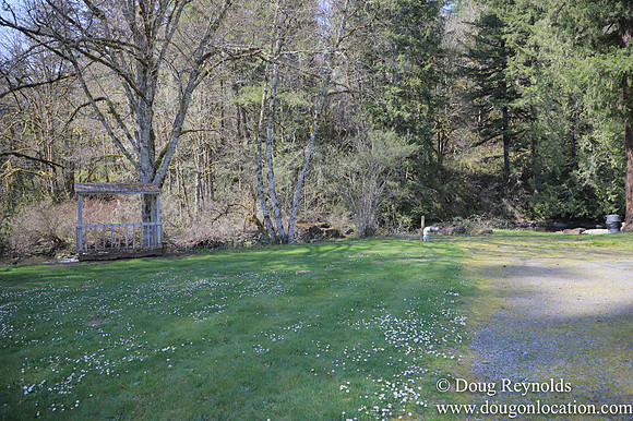 Eagle Fern Camp