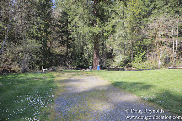 Eagle Fern Camp