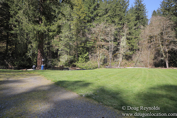 Eagle Fern Camp