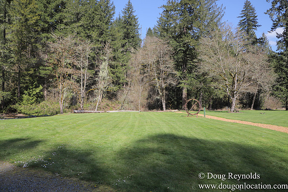 Eagle Fern Camp