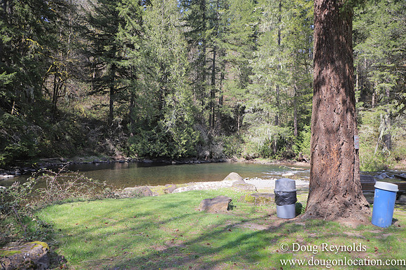 Eagle Fern Camp