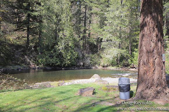 Eagle Fern Camp
