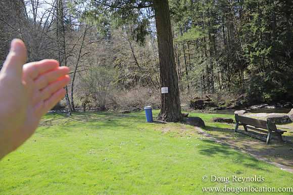 Eagle Fern Camp