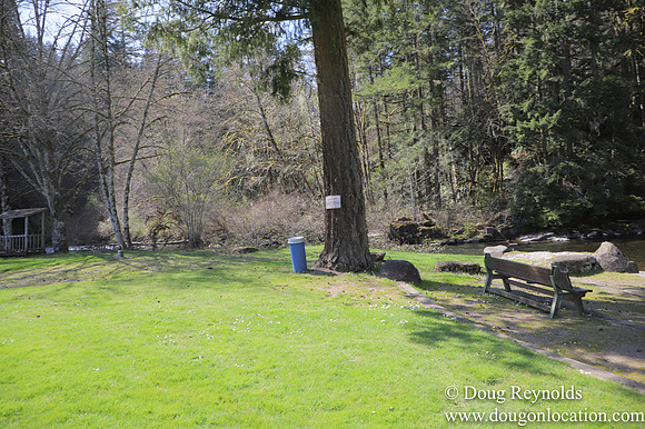 Eagle Fern Camp