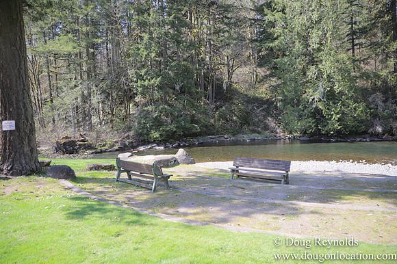 Eagle Fern Camp