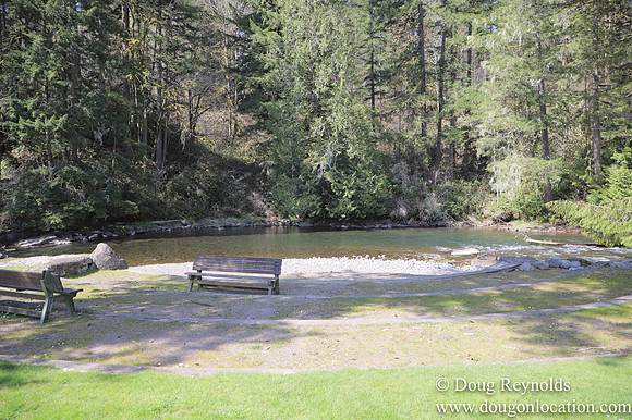 Eagle Fern Camp