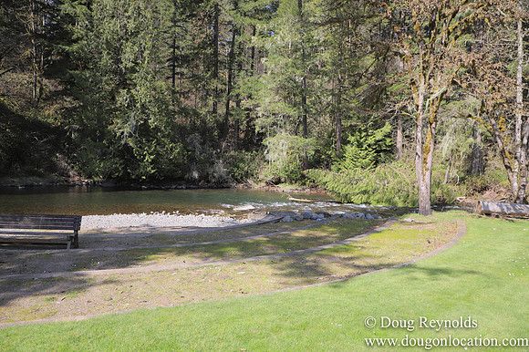 Eagle Fern Camp