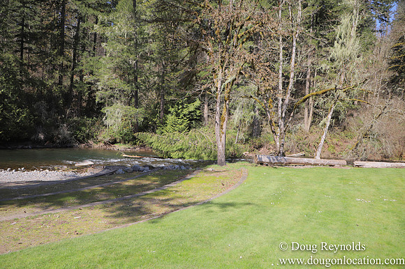 Eagle Fern Camp