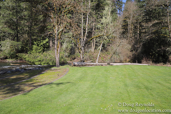 Eagle Fern Camp