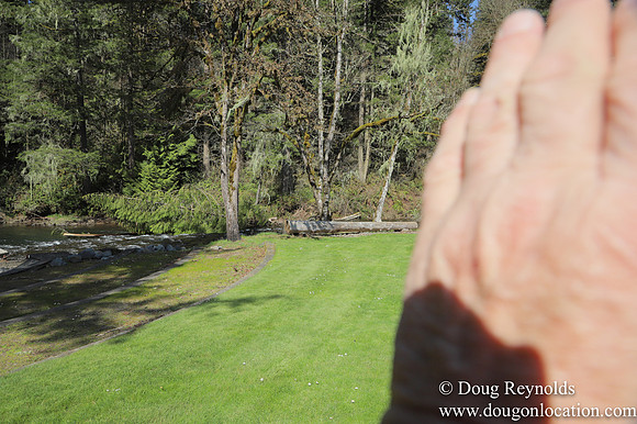 Eagle Fern Camp