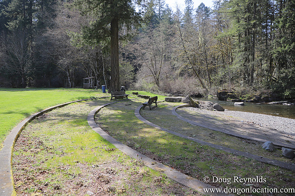 Eagle Fern Camp