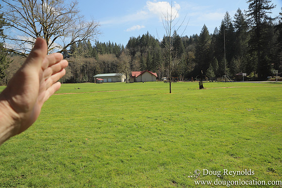 Eagle Fern Camp
