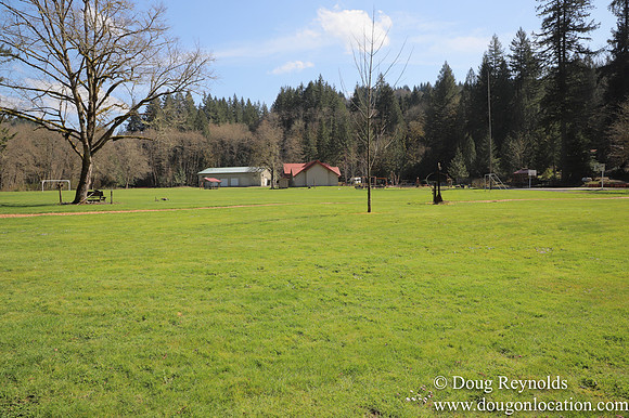 Eagle Fern Camp