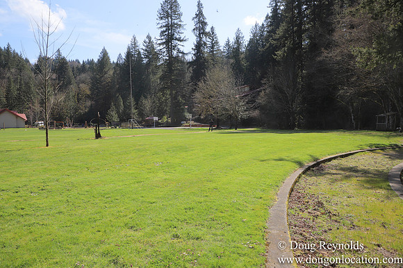 Eagle Fern Camp
