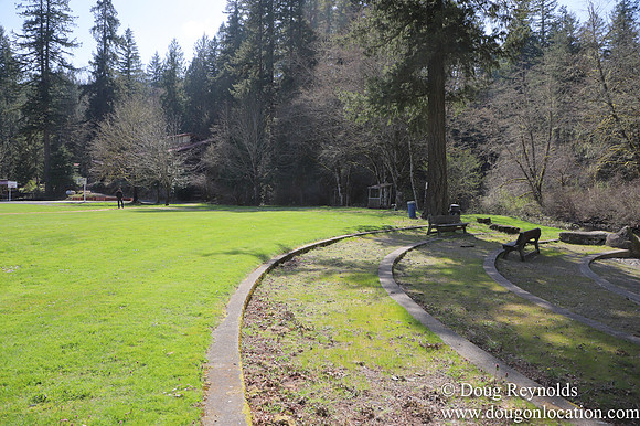 Eagle Fern Camp