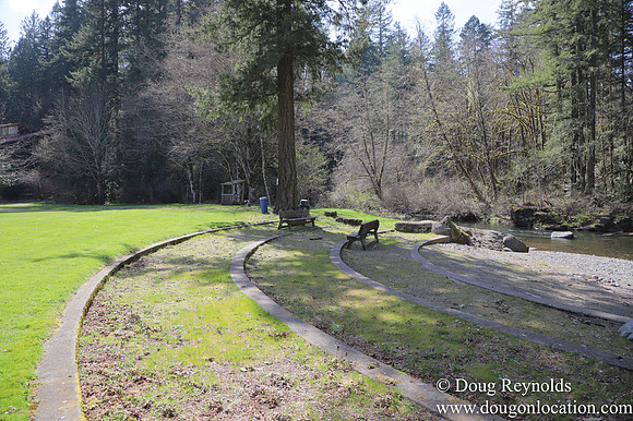 Eagle Fern Camp