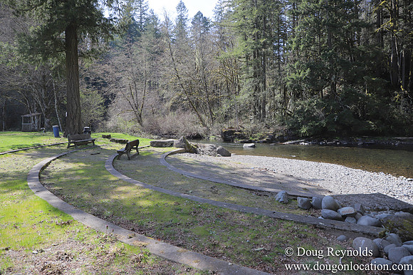 Eagle Fern Camp