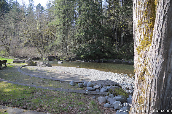 Eagle Fern Camp