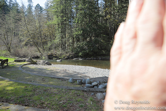 Eagle Fern Camp