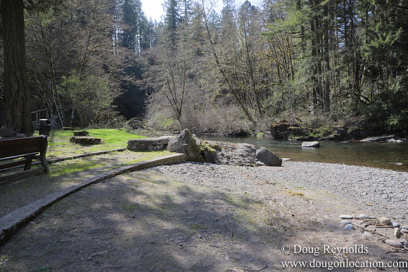 Eagle Fern Camp
