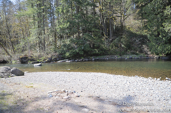 Eagle Fern Camp