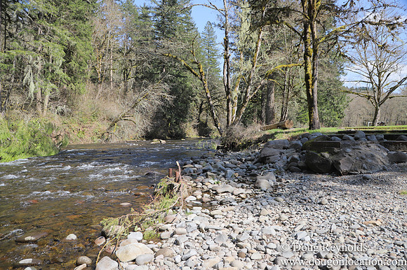 Eagle Fern Camp