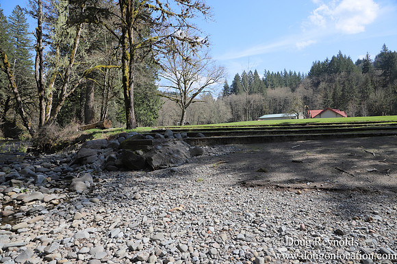 Eagle Fern Camp